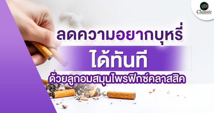 ตัวช่วยเลือกบุหรี่