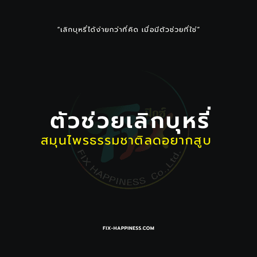 ตัวช่วยเลิกบุหรี่